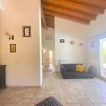 فيلة Alba *