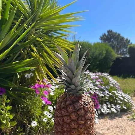 Вилла Alba Алжезур